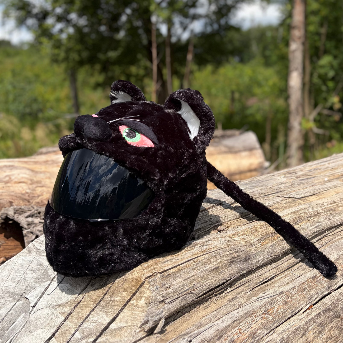 Motorcycle helmet cover - Black cat