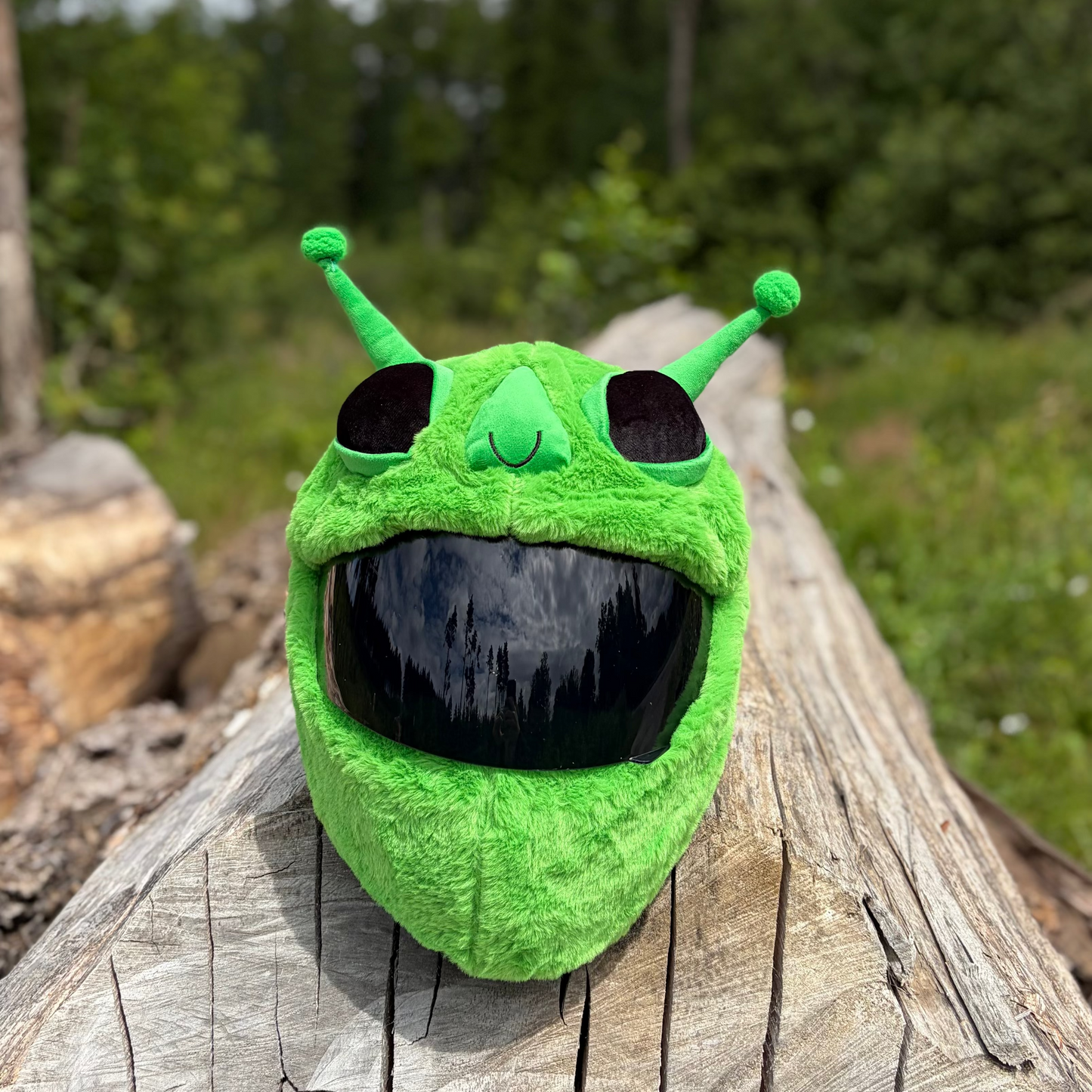 Biker Helmet Cover - Green Alien